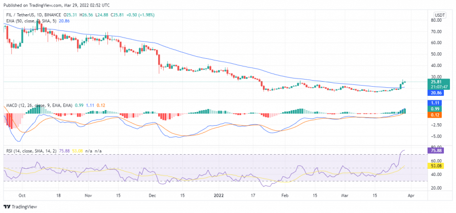 مخطط بيانيٌّ لأسعار زوج FIL/USDT