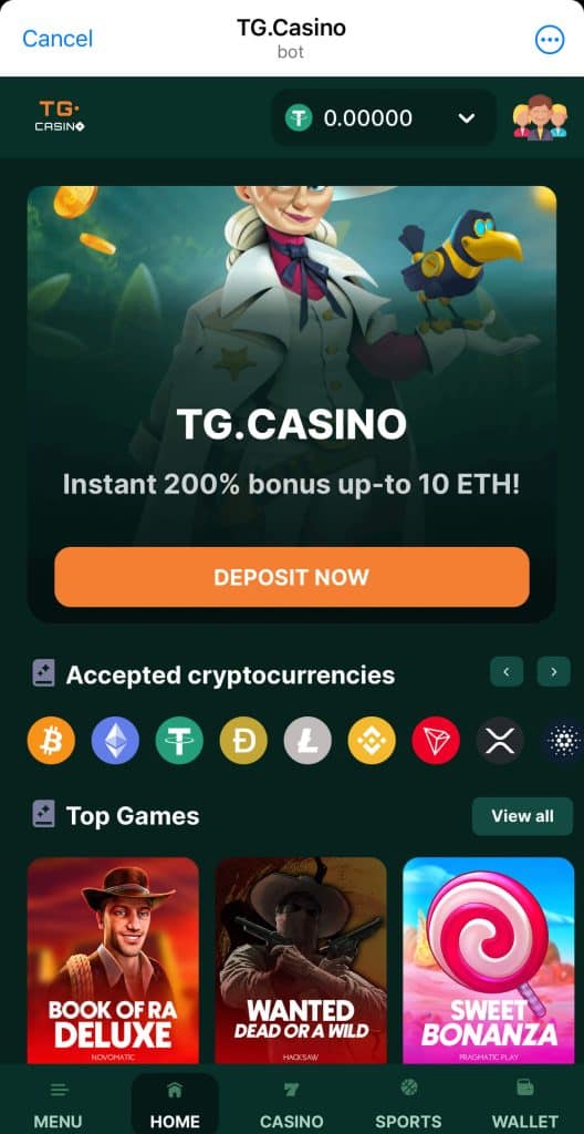 TG.Casino interface