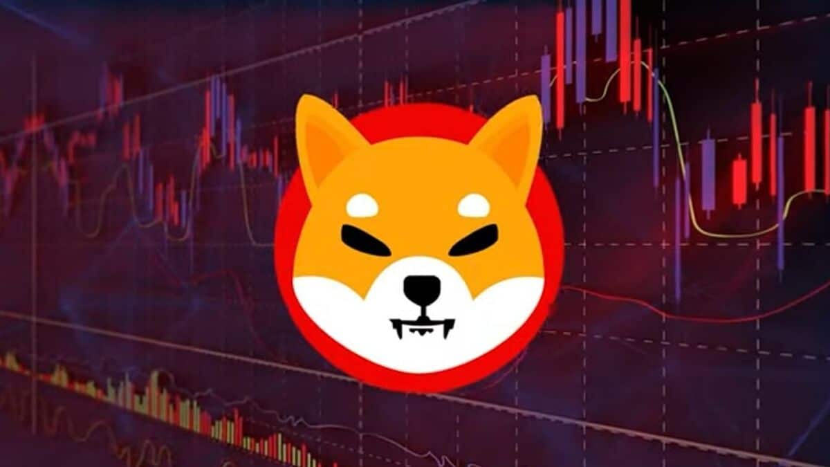 arriscado comprar shiba inu coin