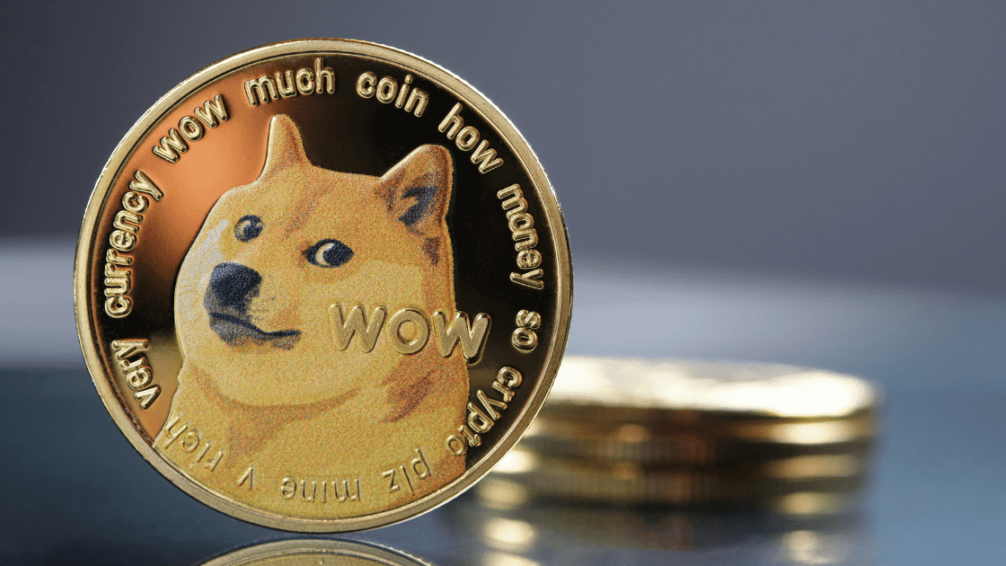 missão SpaceX Doge vai decolar