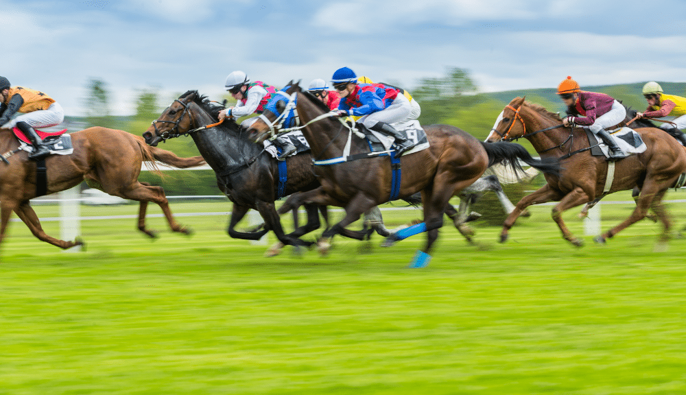 Corrida de Cavalos Apostas