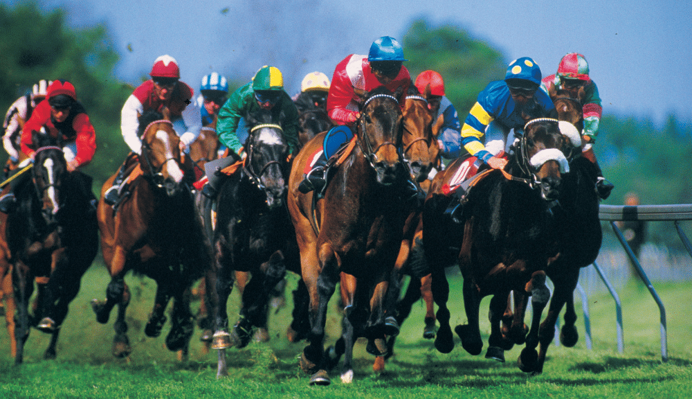 Corrida de Cavalos Apostas