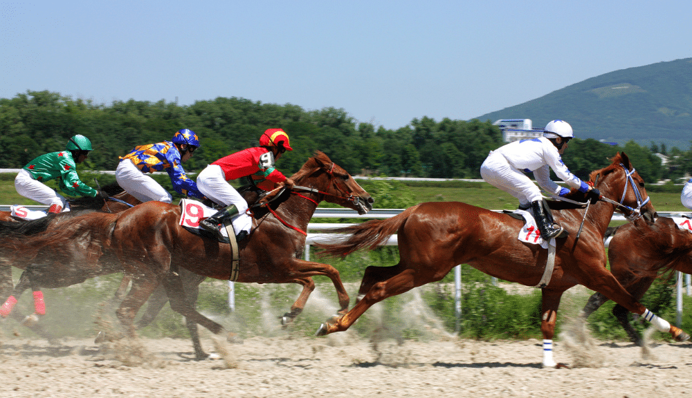 Corrida de Cavalos Apostas