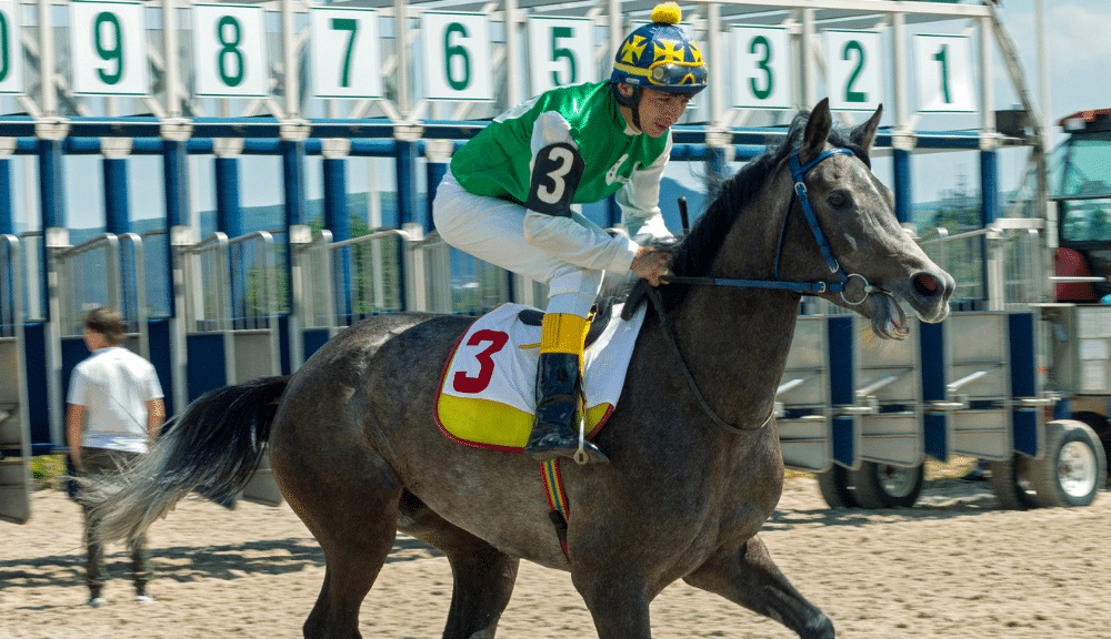 Corrida de Cavalos Apostas