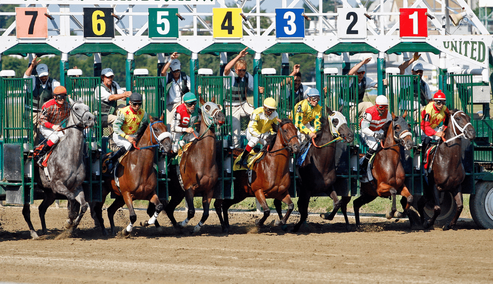 Corrida de Cavalos Apostas