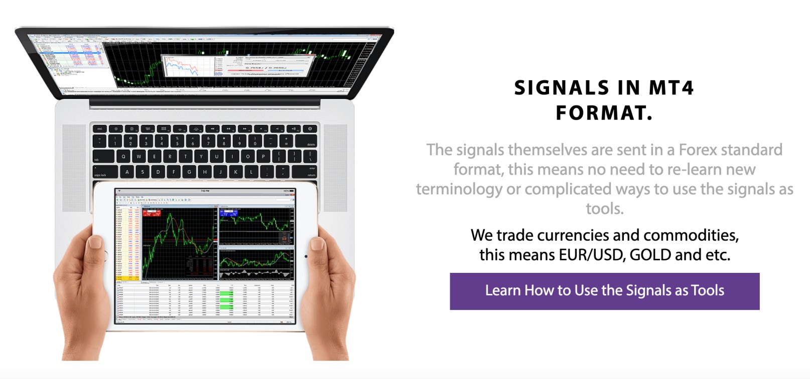 Pips alert forex signály