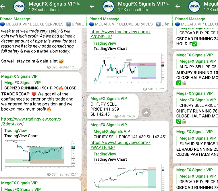 Ukázka obchodních forexových signálů MegaFX