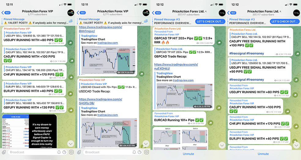 Ukázky signálů z telegramu Price Action Ltd