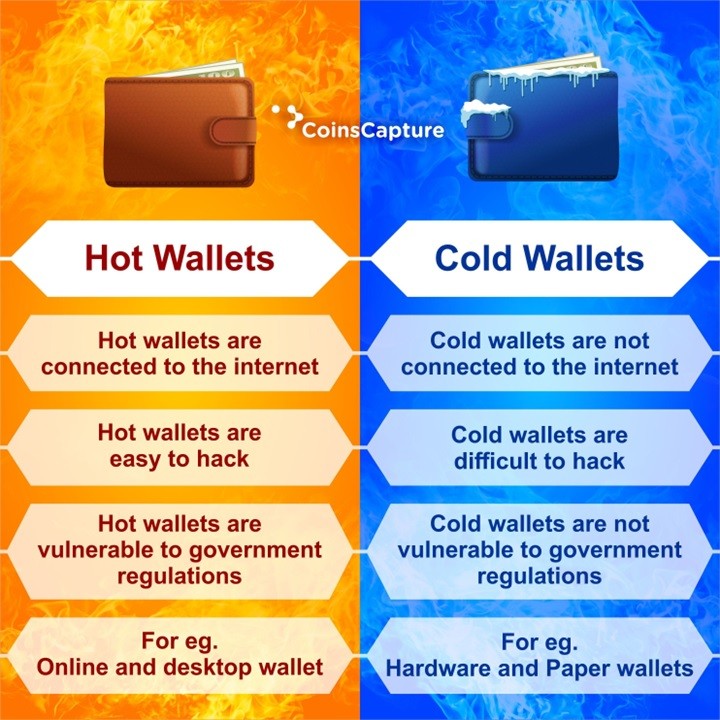 Software vs hardware wallet