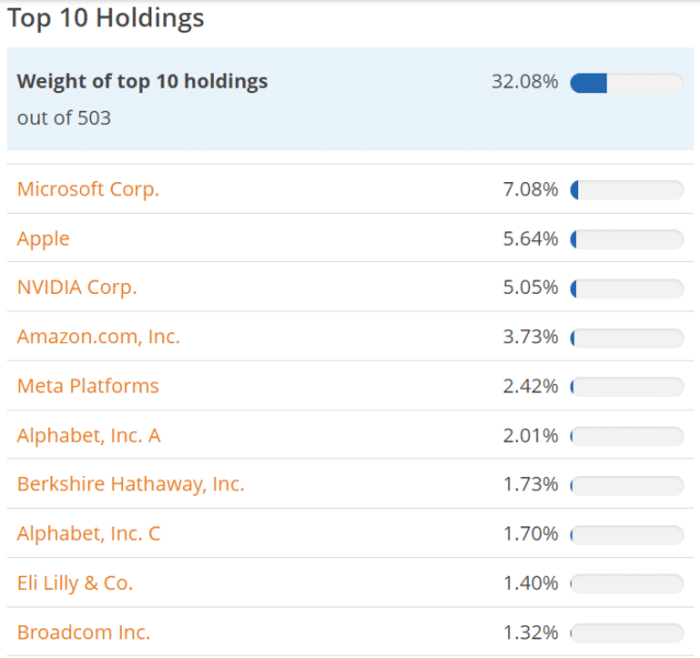 Top 10 nejvíce zastoupených společností v ETF na SP500