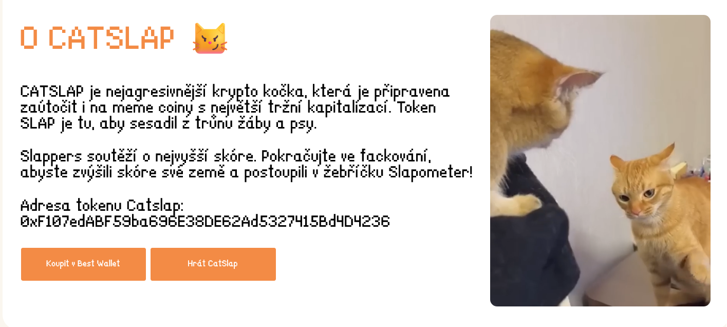 jak koupit catslap - o projektu