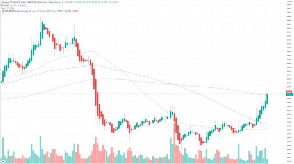 Cardano Kurs