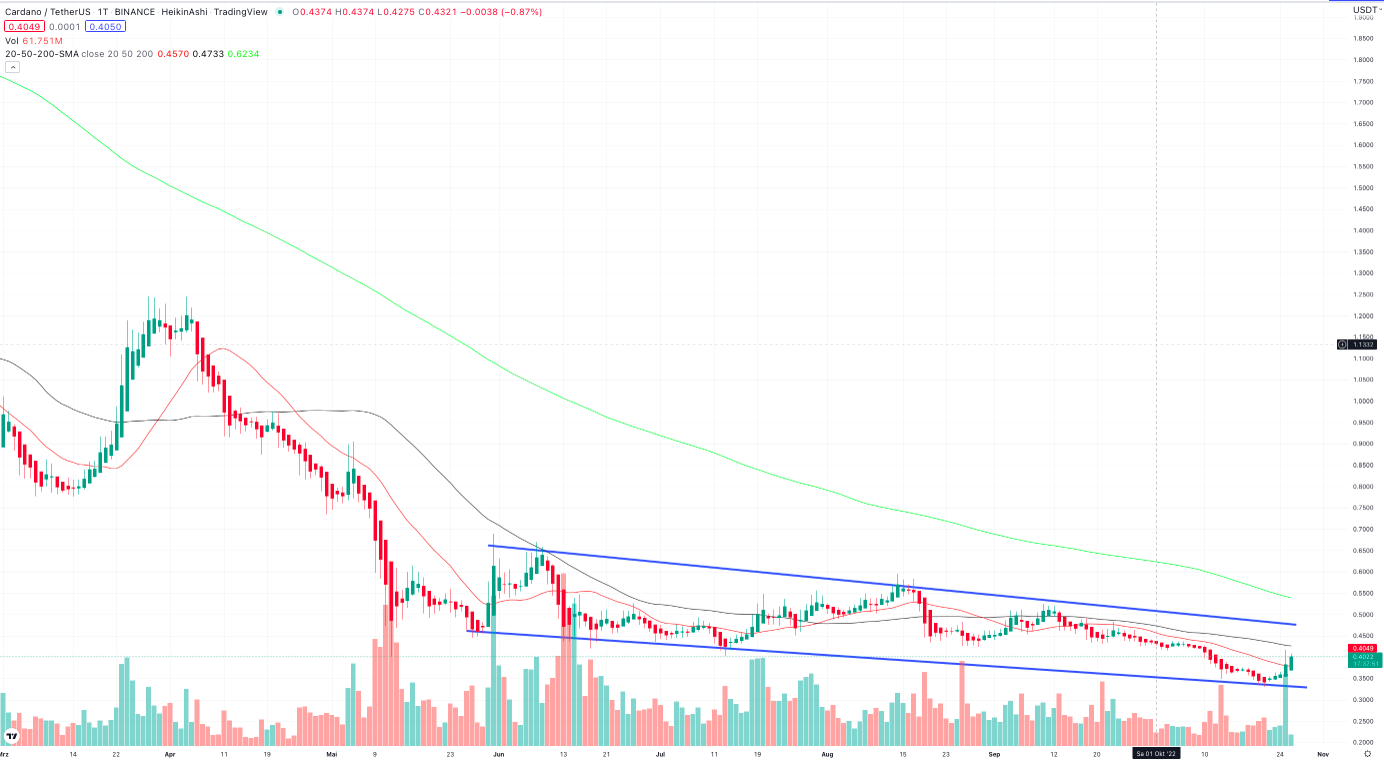 Cardano Kurs