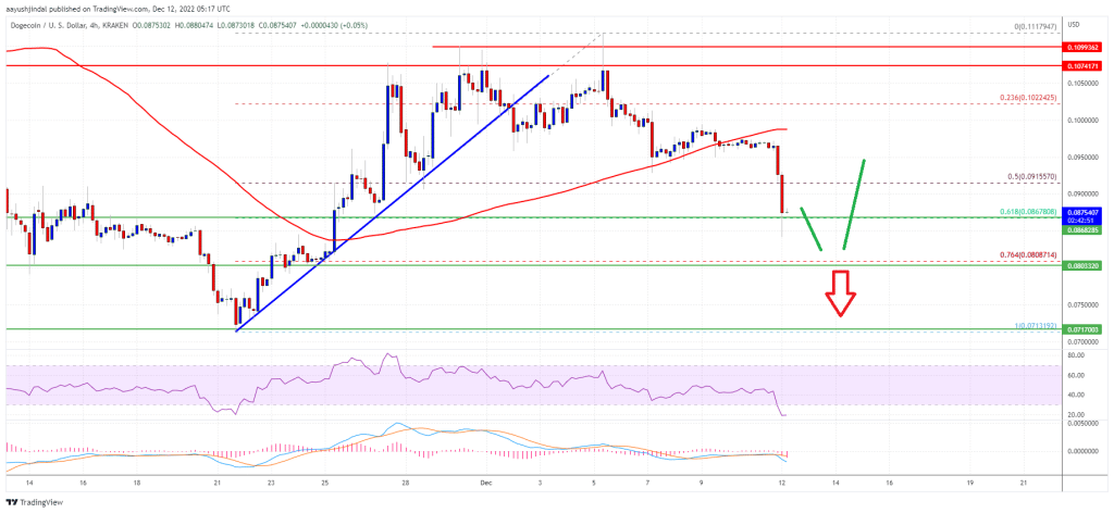 Dogecoin Preis 12.12