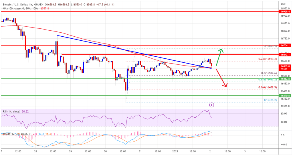 Bitcoin Chart 02.01