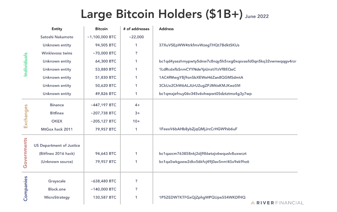 Bitcoin Holders