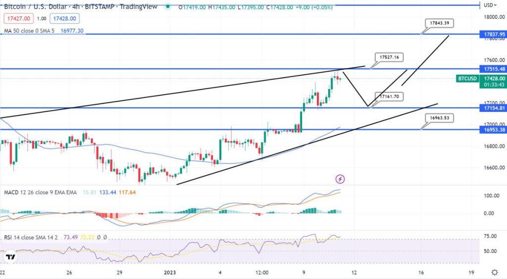 Bitcoin Preis 11.01