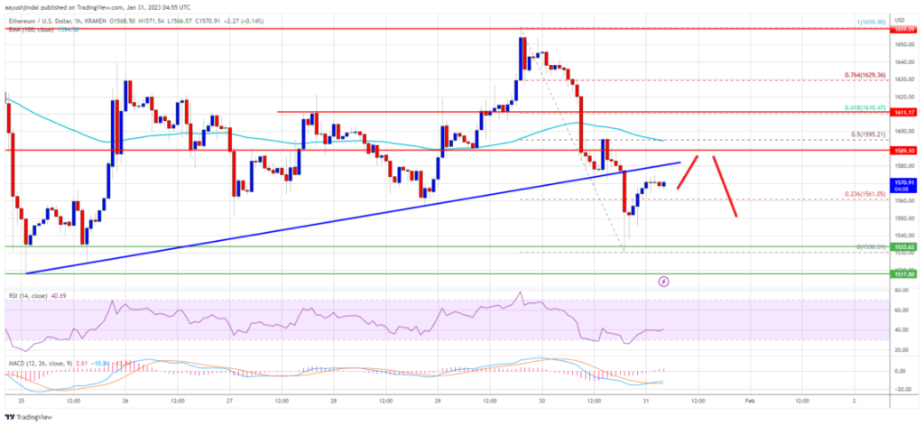 Ethereum Preis Chart 31.01