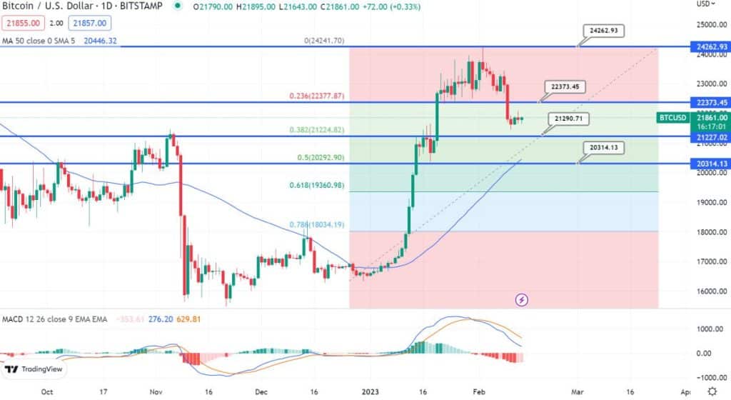 Bitcoin Chart 13.02