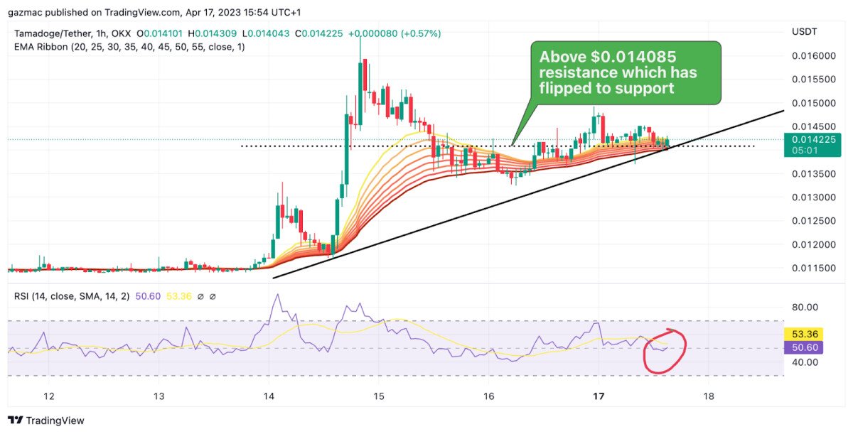 Tamadoge 18.04. Tradingview