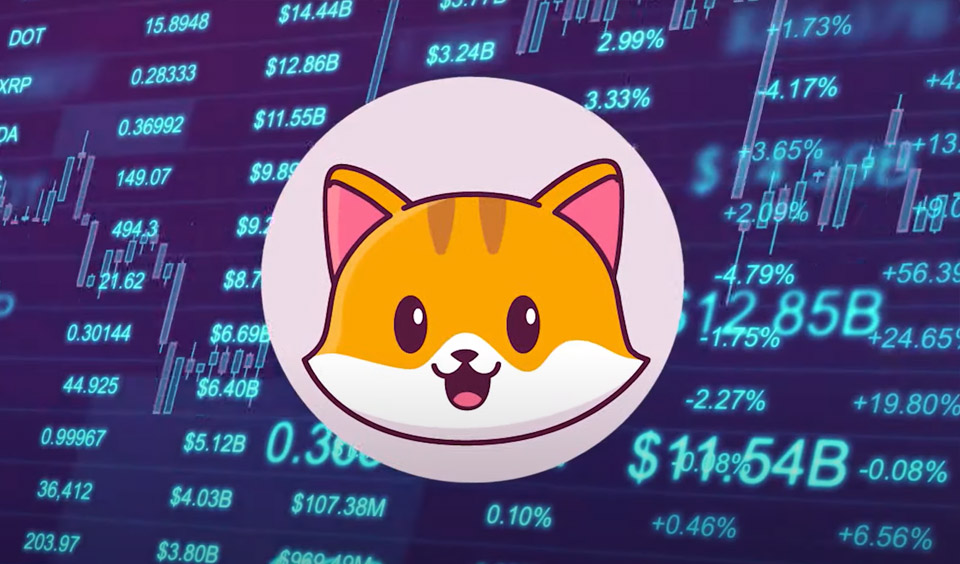 CateCoin