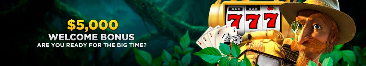 wild casino online casinos california estados unidos