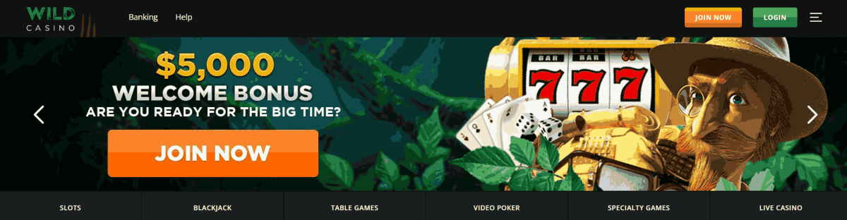 wild casino buffalo slots gratis