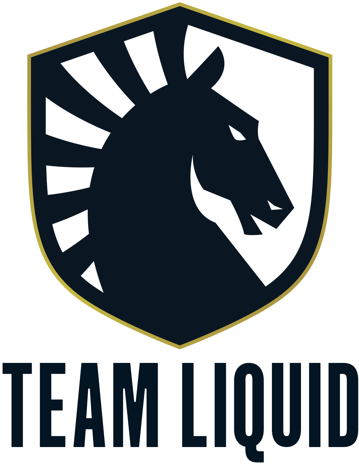 team liquid