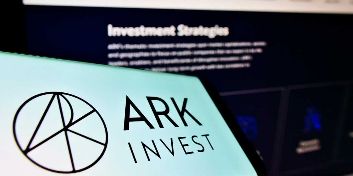 ark investment management