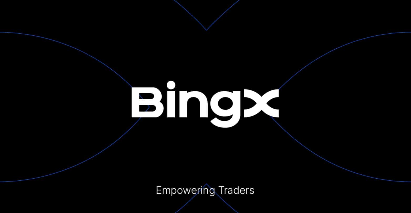 bingX