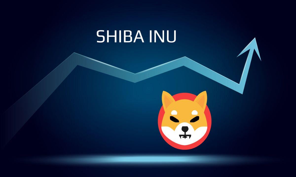 shiba inu avenir