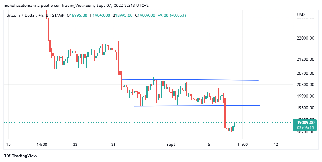 bitcoin cycle