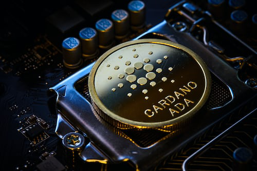 cardano vasil