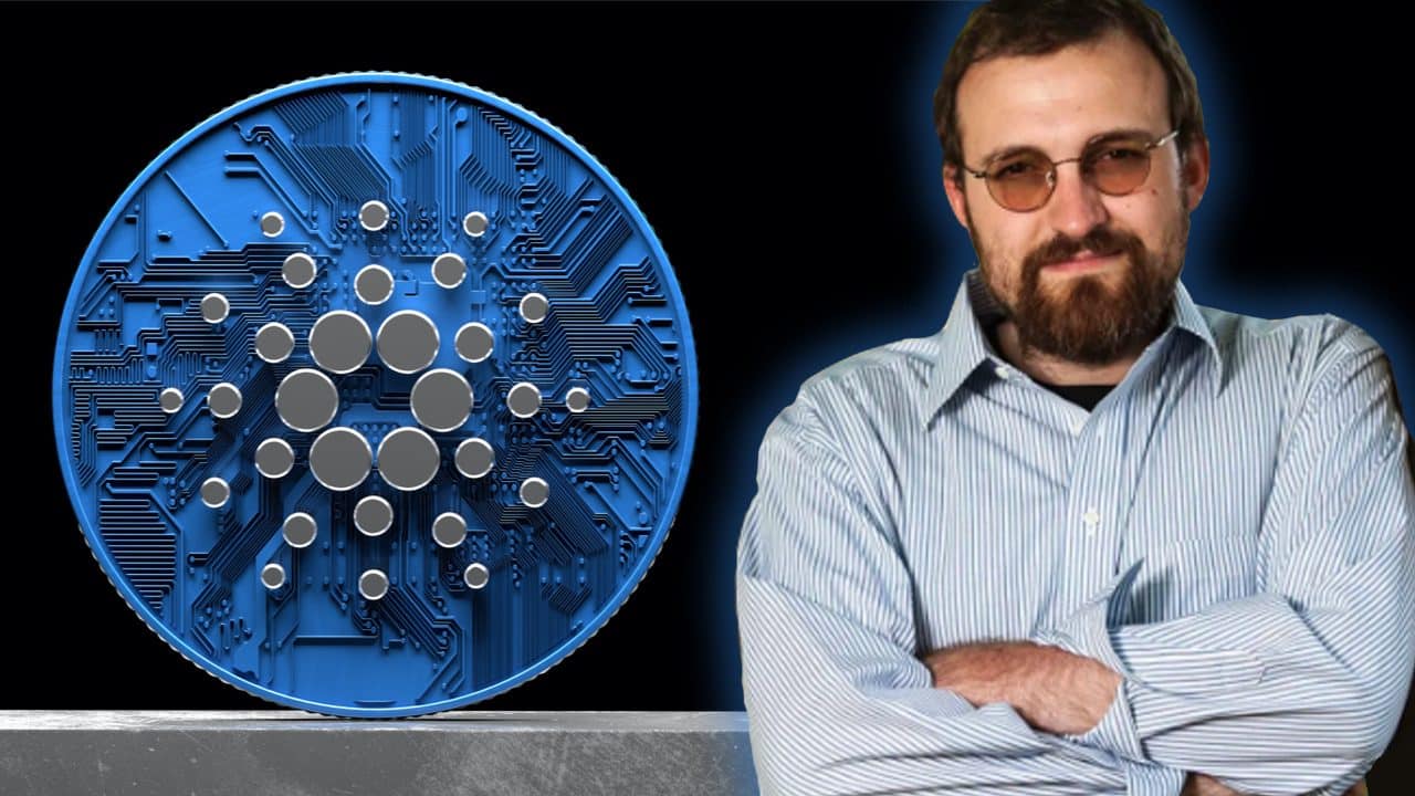 cardano vasil