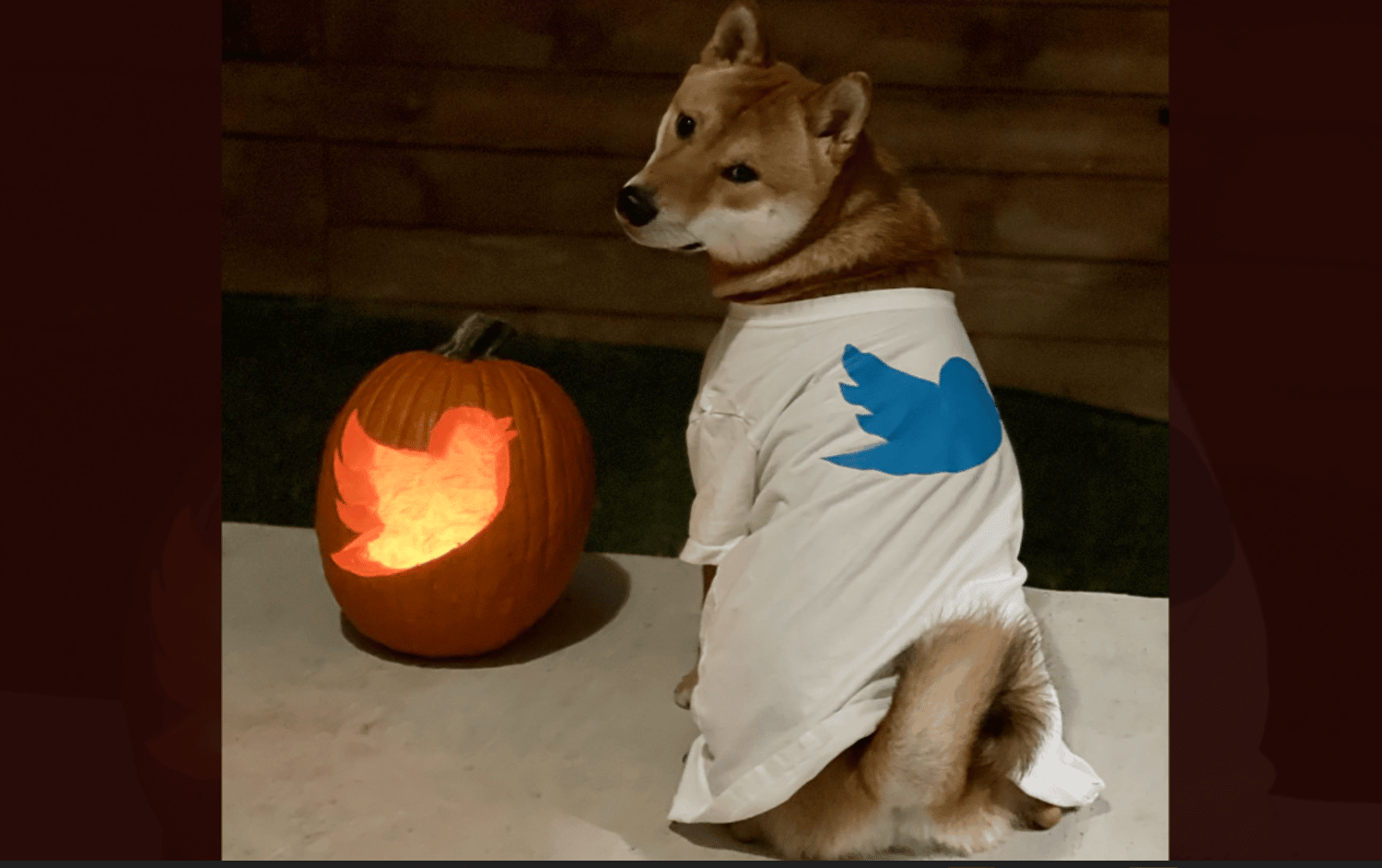 Dogecoin Twitter