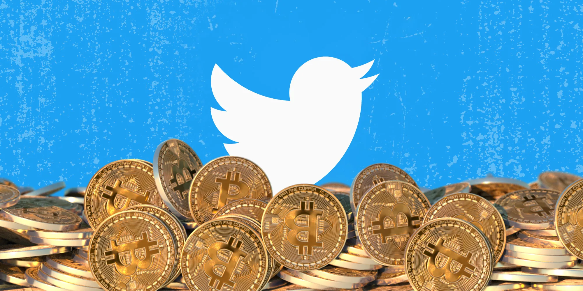 Twitter coin