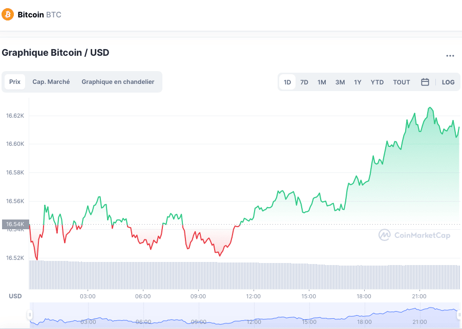 rapport crypto fondamentale