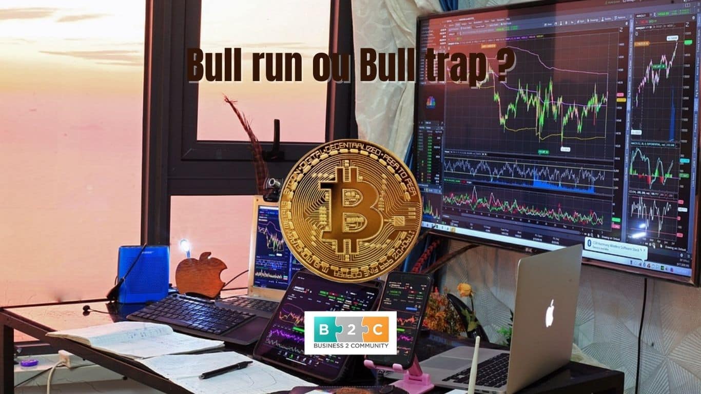 bitcoin bull run