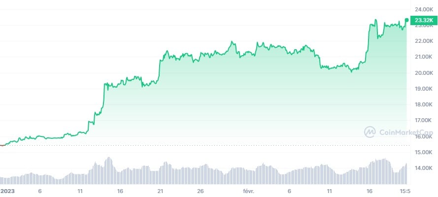 BTC_YTD_graph_coinmarketcap