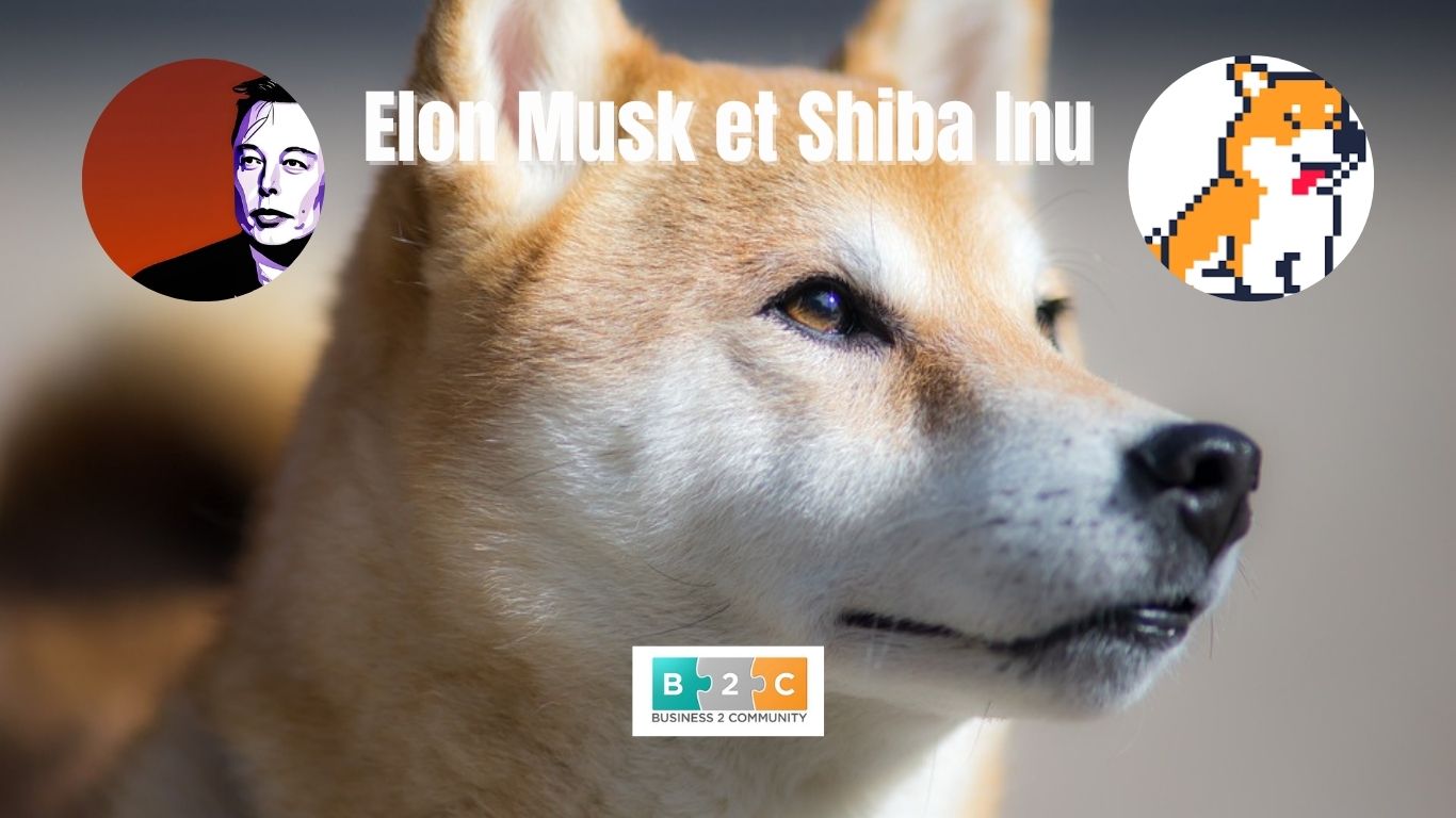 Shiba Inu crypto