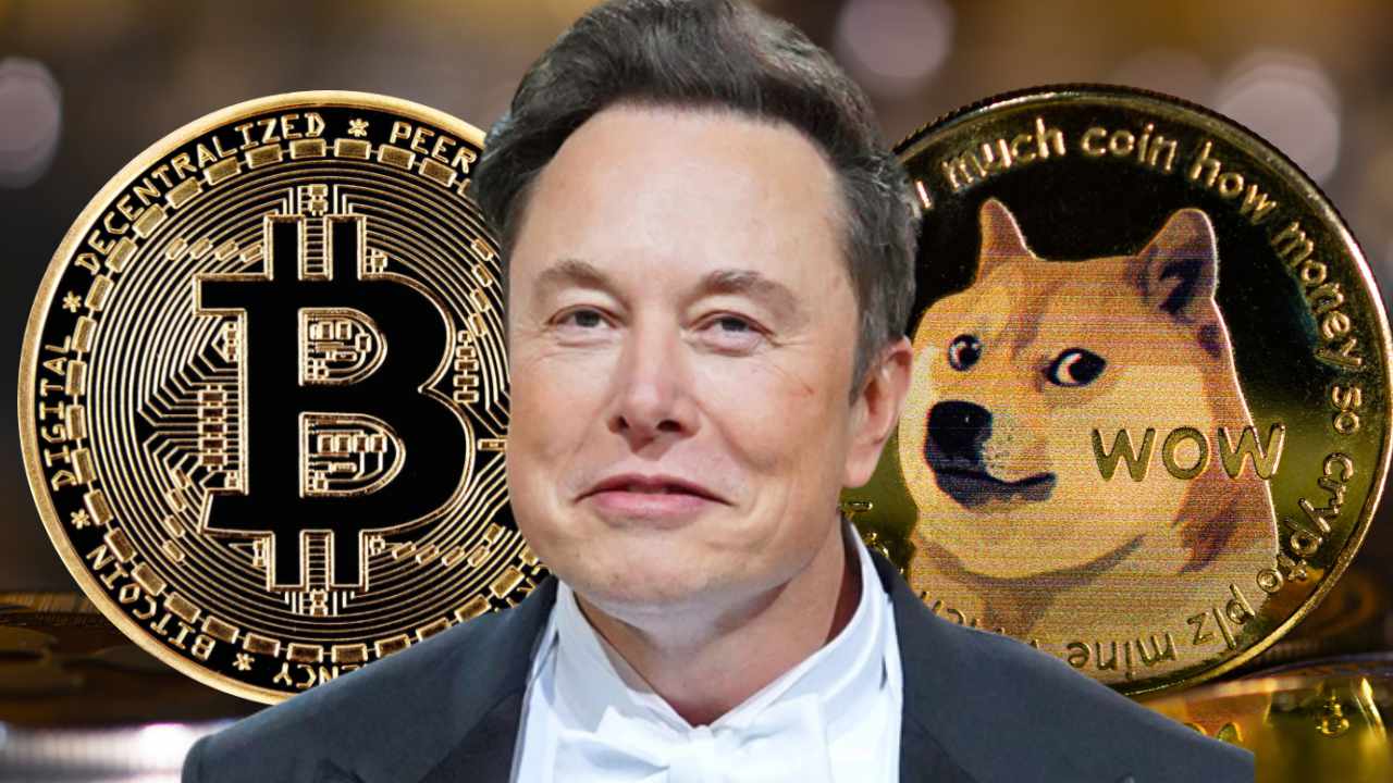 elon musk crypto