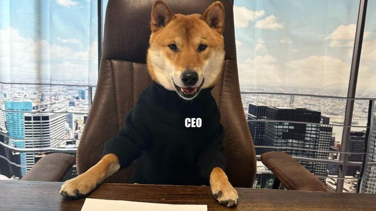 elon musk shiba inu