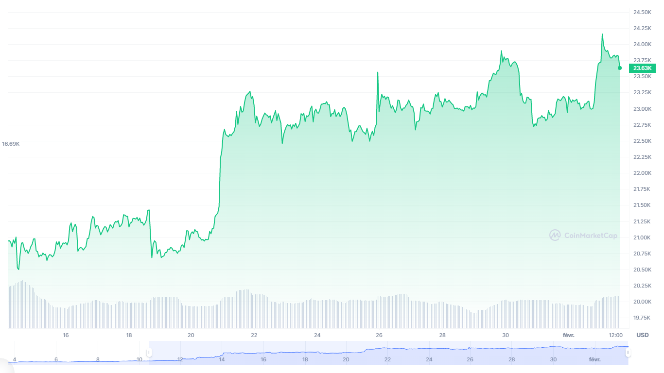 graphique Bitcoin 30 jours