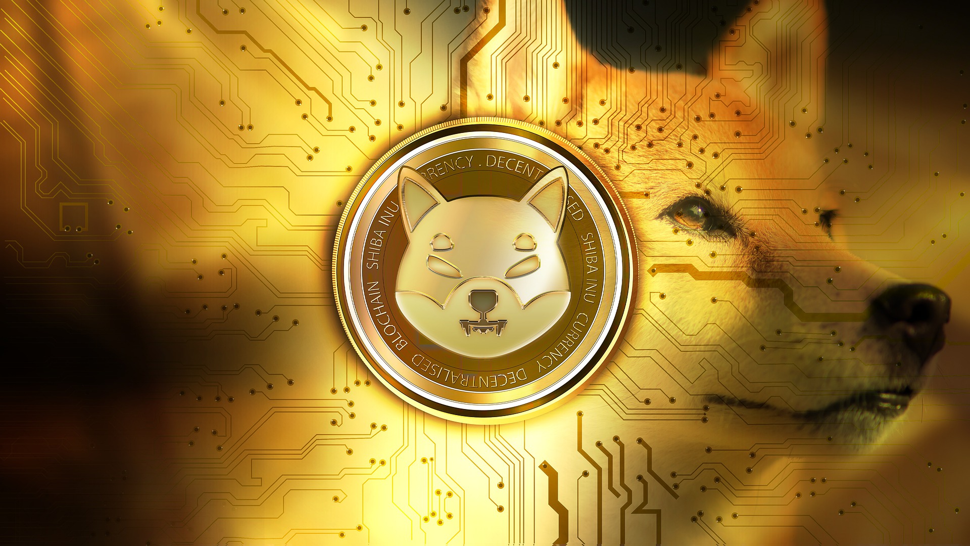 shiba inu 1 euro