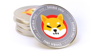 shiba inu prix coin