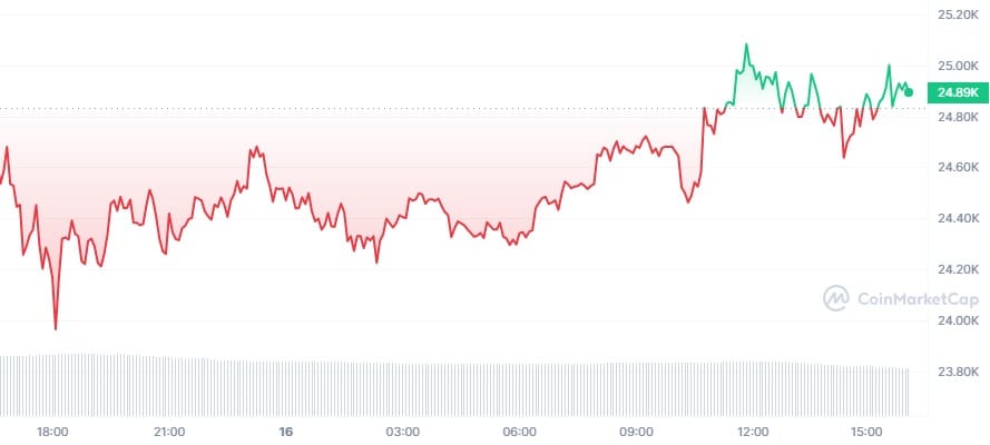 BTC_1D_graph_coinmarketcap