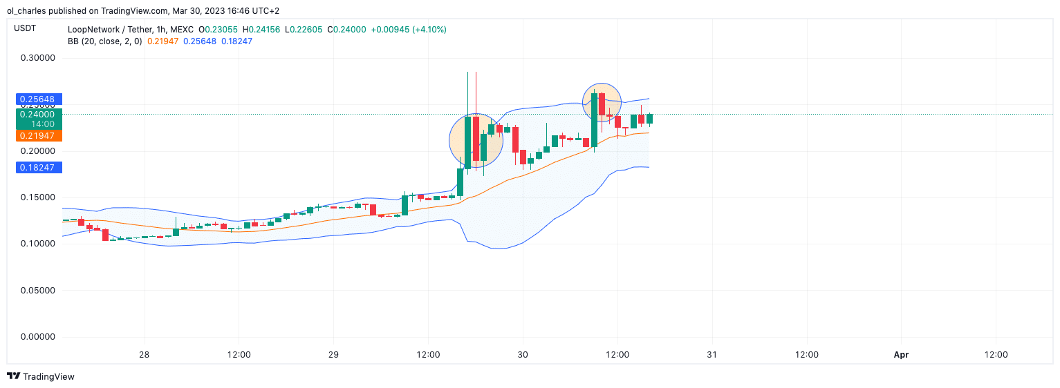 crypto loop network