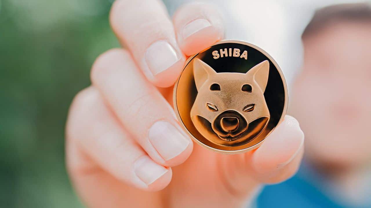 Shiba Inu