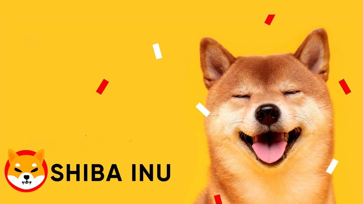 shiba inu crypto