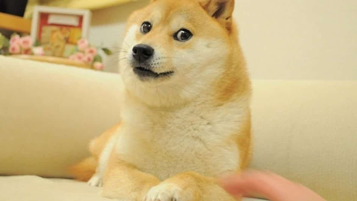 dogecoin prix